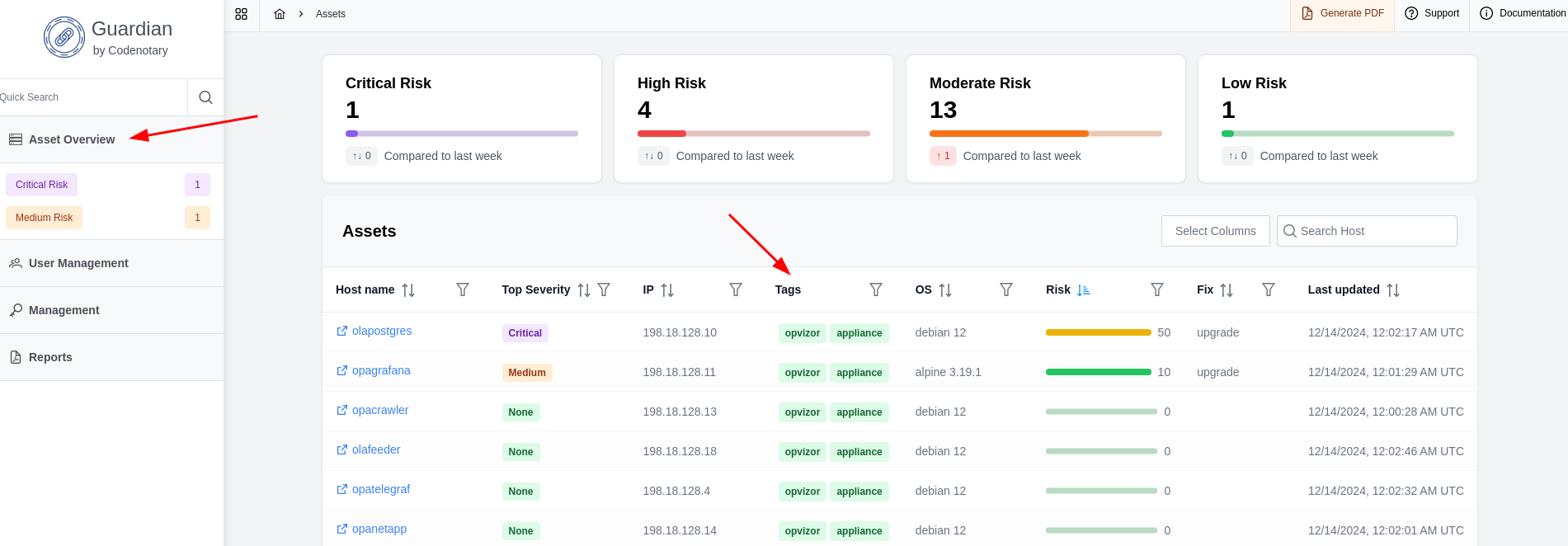 assets overview tags