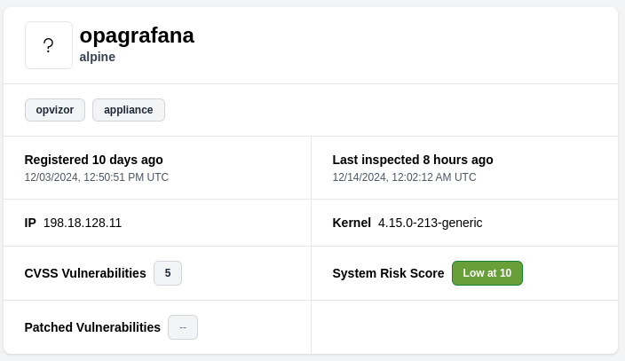vuln scan asset data