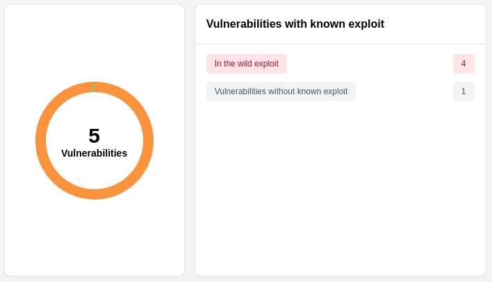 vuln scan known exploits